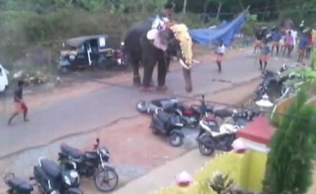 This Kerala Temple Gets Thumbs Up For Defying 'Jumbo' Tradition