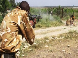 Man Mauled, Lion Shot In Latest Nairobi Incident Man Mauled, Lion Shot In Latest Nairobi Incident