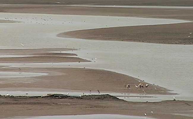 Drought-Hit Maharashtra Shuts Down Swimming Pools For 3 Months