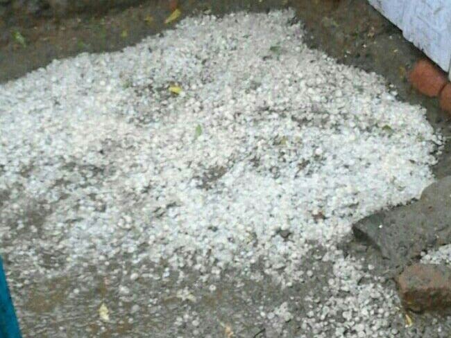 Rahul Gandhi Raises Issue Of Farmers Hit By Rains; Government Assures Help