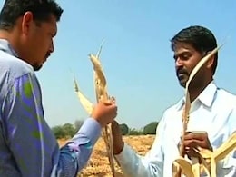 6% Water Left In Marathwada Dams, Farmers Blame Government For Suicides 6% Water Left In Marathwada Dams, Farmers Blame Government For Suicides