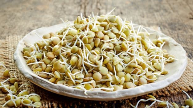 16 Benefits Of Sprouting And The Right Way To Do It - NDTV Food