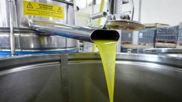 The Olive Oil Scandals: Italy Fights Back
