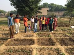 Organic Farming in India: A Success Story Organic Farming in India: A Success Story
