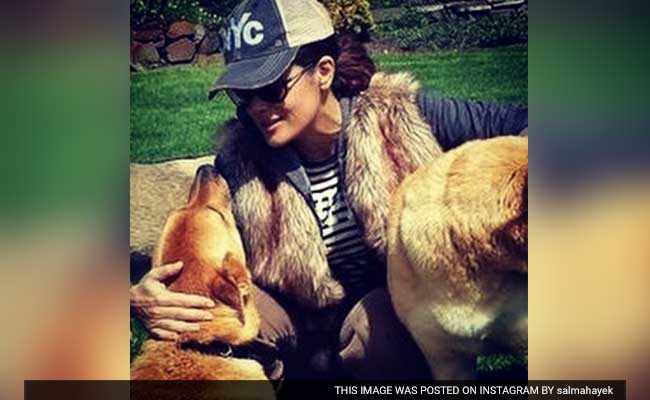 Salma Hayek's Dog Was Killed By Her Neighbor; Cops Say It Was Justified