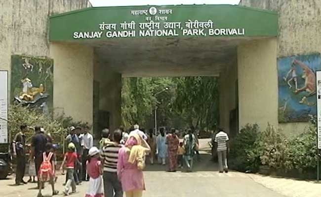 Shiv Sena Joins Environmentalists Opposing Trains Through Mumbai Forest