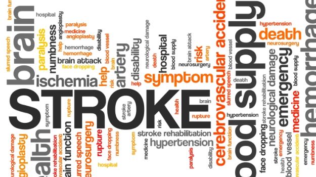 Gut Bacteria May Help Prevent Stroke: Study
