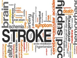 Gut Bacteria May Help Prevent Stroke: Study Gut Bacteria May Help Prevent Stroke: Study