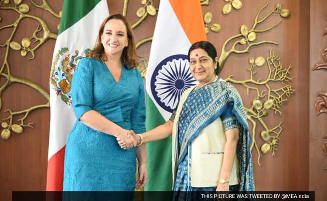 India, Mexico Discuss Elevating Bilateral Ties