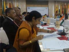 SAARC Needs To Unleash Collective Strength, Says Sushma Swaraj
