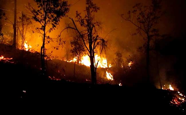 1 Arrested For Forest Fires Around Kodaikanal In Tamil Nadu