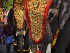 PETA Sends Notice To Kerala Government Over Captive Elephants Ownership