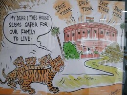द टाइगर स्पीक : दहाड़ते नहीं, देखने वालों की आंखें नम कर कर देते हैं हरिओम के बाघ द टाइगर स्पीक : दहाड़ते नहीं, देखने वालों की आंखें नम कर कर देते हैं हरिओम के बाघ