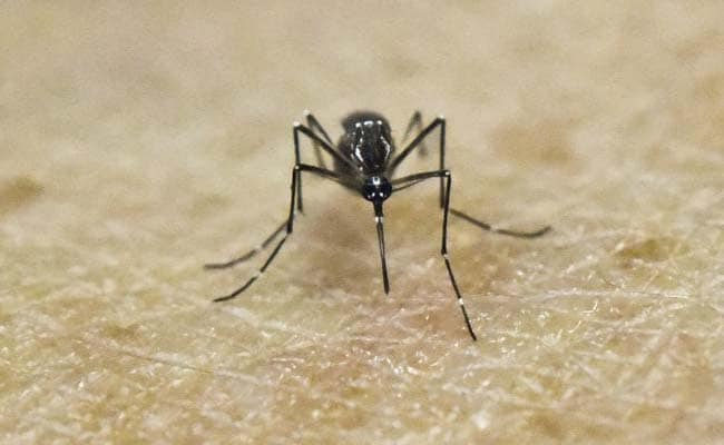 First Widely Available Zika Test Okayed For Emergency Use