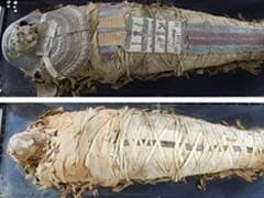 Hyderabad Scan Of 2000-Year-Old Mummy Shows Parts Of Brain Still Intact