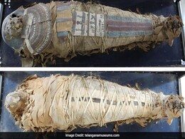 Hyderabad Scan Of 2000-Year-Old Mummy Shows Parts Of Brain Still Intact Hyderabad Scan Of 2000-Year-Old Mummy Shows Parts Of Brain Still Intact