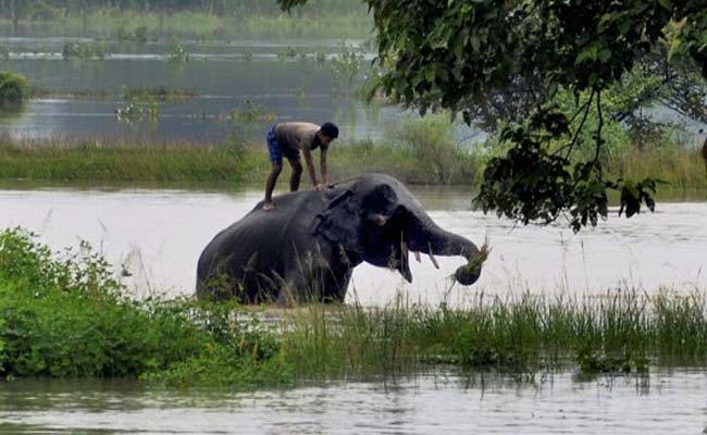 45,000 People Affected In First Wave Of Floods In Assam