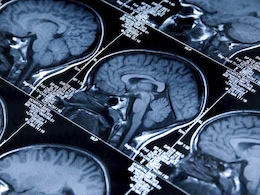 New System To Identify People By Their 'Brainprints' New System To Identify People By Their 'Brainprints'