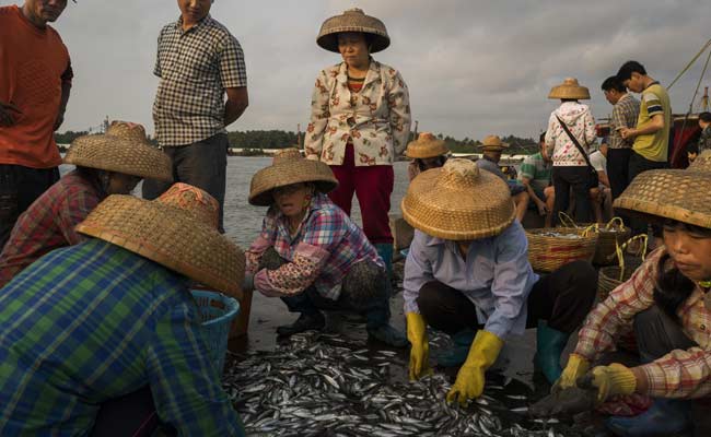 China's Front-Line Fishermen