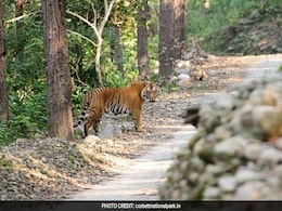 उत्तराखंड की कंडी सड़क परियोजना को झटका, NGT ने दिया नोटिस उत्तराखंड की कंडी सड़क परियोजना को झटका, NGT ने दिया नोटिस