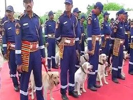 30 Labradors Inducted In Delhi Police Dog Squad 30 Labradors Inducted In Delhi Police Dog Squad