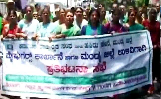 Drought, Closure Of Factory Turn Sugarcane Farmers Bitter In Karnataka