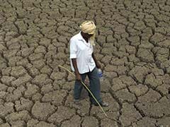 226 Blocks In Jharkhand's 22 Districts Drought-Hit, Seeks Help From Centre