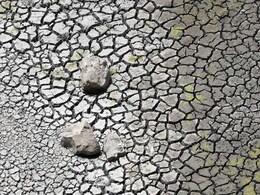 Exclusive: Centre Stonewalls NDTV's RTI Queries On Drought Measures Exclusive: Centre Stonewalls NDTV's RTI Queries On Drought Measures