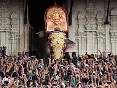 Elephants Keep Up Thrissur Pooram Tradition, Black Paint Masking Injuries