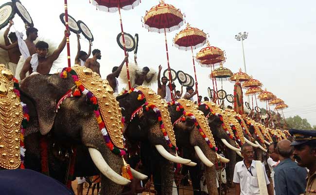 Elephants Keep Up Thrissur Pooram Tradition, Black Paint Masking Injuries