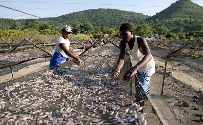 Hunger, Power Cuts In Zimbabwe, Zambia As Lake Level Hits Record Low