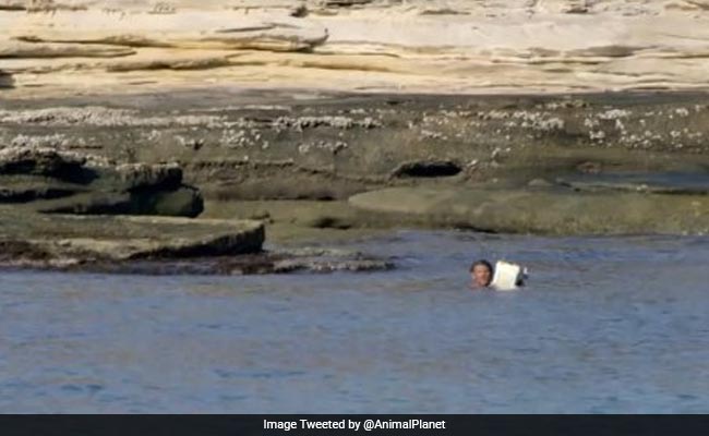 'He Was Prepared To Die': TV Crew Rescues Castaway Stranded On A Deserted Island