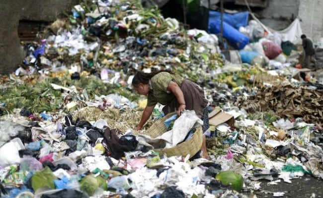 To Help Curb Climate Change, Stop Wasting Food: Scientists