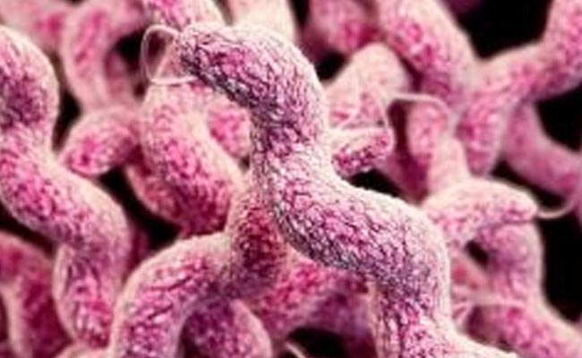 Younger Than You Look? Scientists Identify Gene Nobody Wants