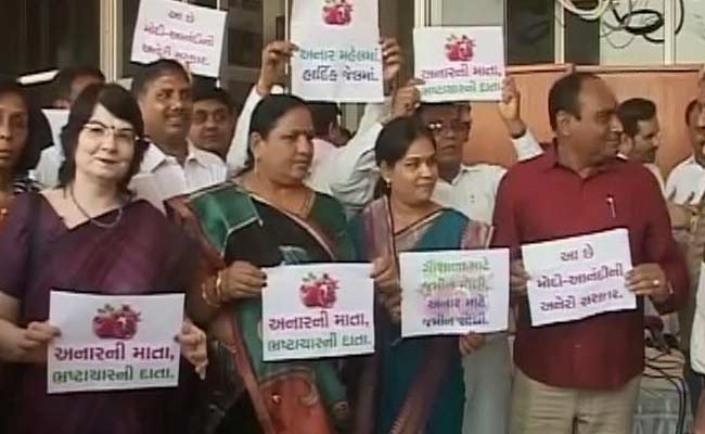 Activists, Locals Cry Foul Over Land Deal Near Gujarat's Gir Forest