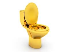 Fully Functional Gold Toilet To Be Installed At US Museum