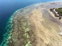 Damage To Great Barrier Reef Costs Ship Owner $30 Million
