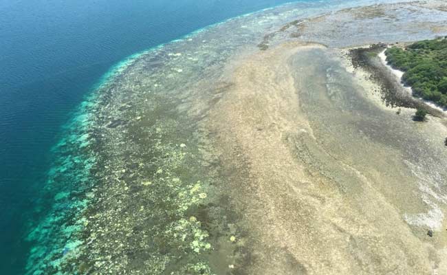 Damage To Great Barrier Reef Costs Ship Owner $30 Million
