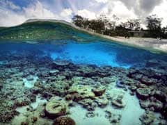 Coal Spill Risk To Australia's Great Barrier Reef: Study