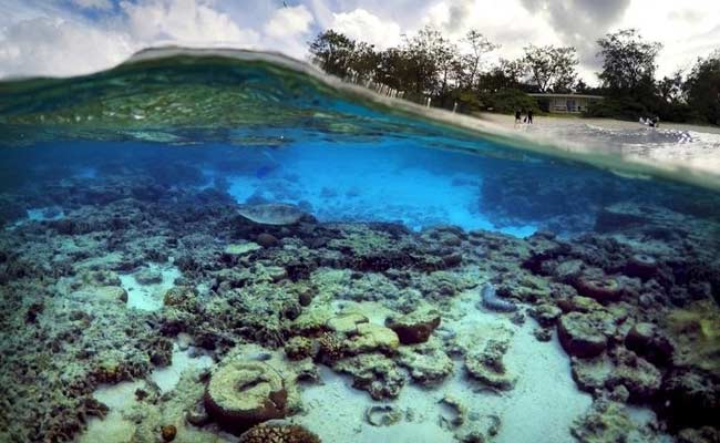 Coal Spill Risk To Australia's Great Barrier Reef: Study