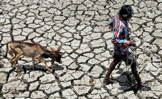 Temperatures Soar, Heat Wave Sweeps Across Haryana, Punjab