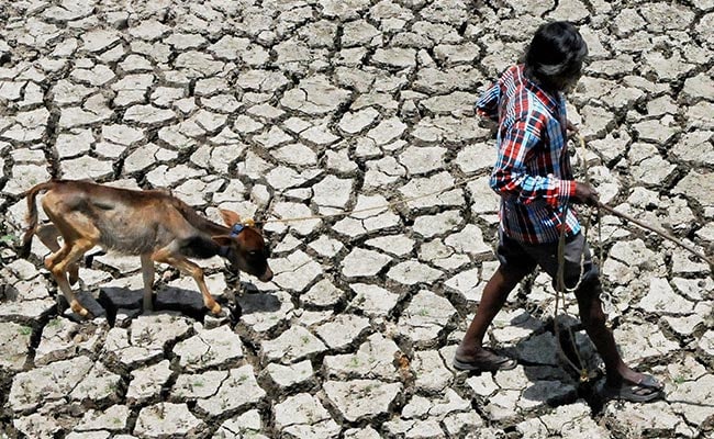 Gujarat Reeling Under Severe Heat; 'Orange' Alert Issued By Ahmedabad Municipal Corporation