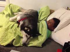 Not A Morning Person?  Neither Is This Dog. 26 Million Views