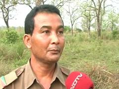 At Kaziranga, Guards Wonder If They Can Vote Through Postal Ballot