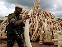 Hong Kong Launches Ivory Ban Bill