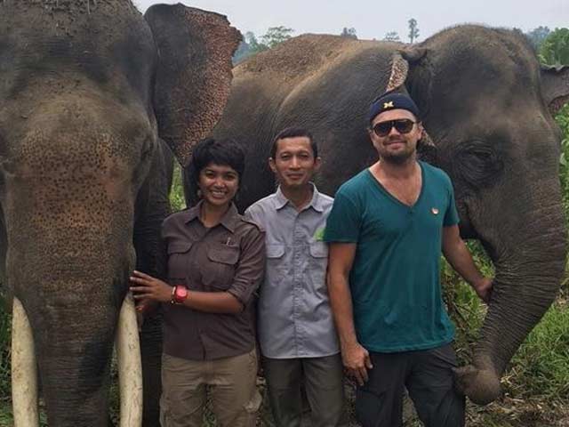 Leonardo DiCaprio, Here's Why Indonesia is 'Ready to Deport' You