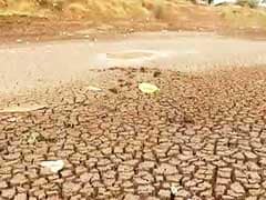 Maharashtra Drought: Only 3 Per Cent Water Left In Marathwada Dams