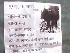 Uttar Pradesh Man Announces Rs. 50,000 Reward For Missing Pet Bull