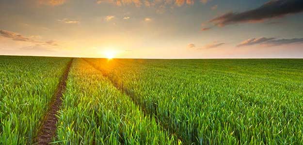 Southwest Monsoon Making Slow Progress: Weather Office