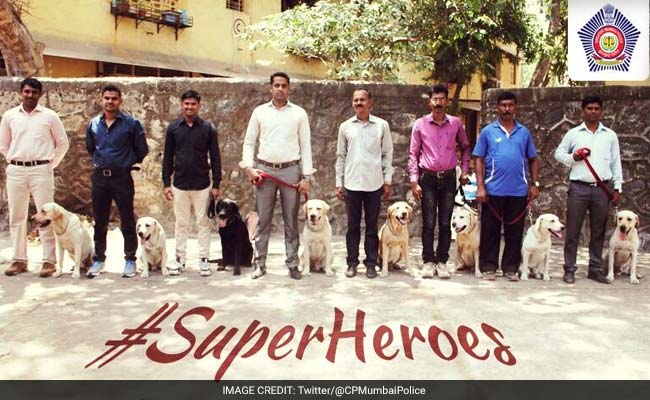 Mumbai Police's 'Superheroes' Are Winning Twitter, Fur Sure